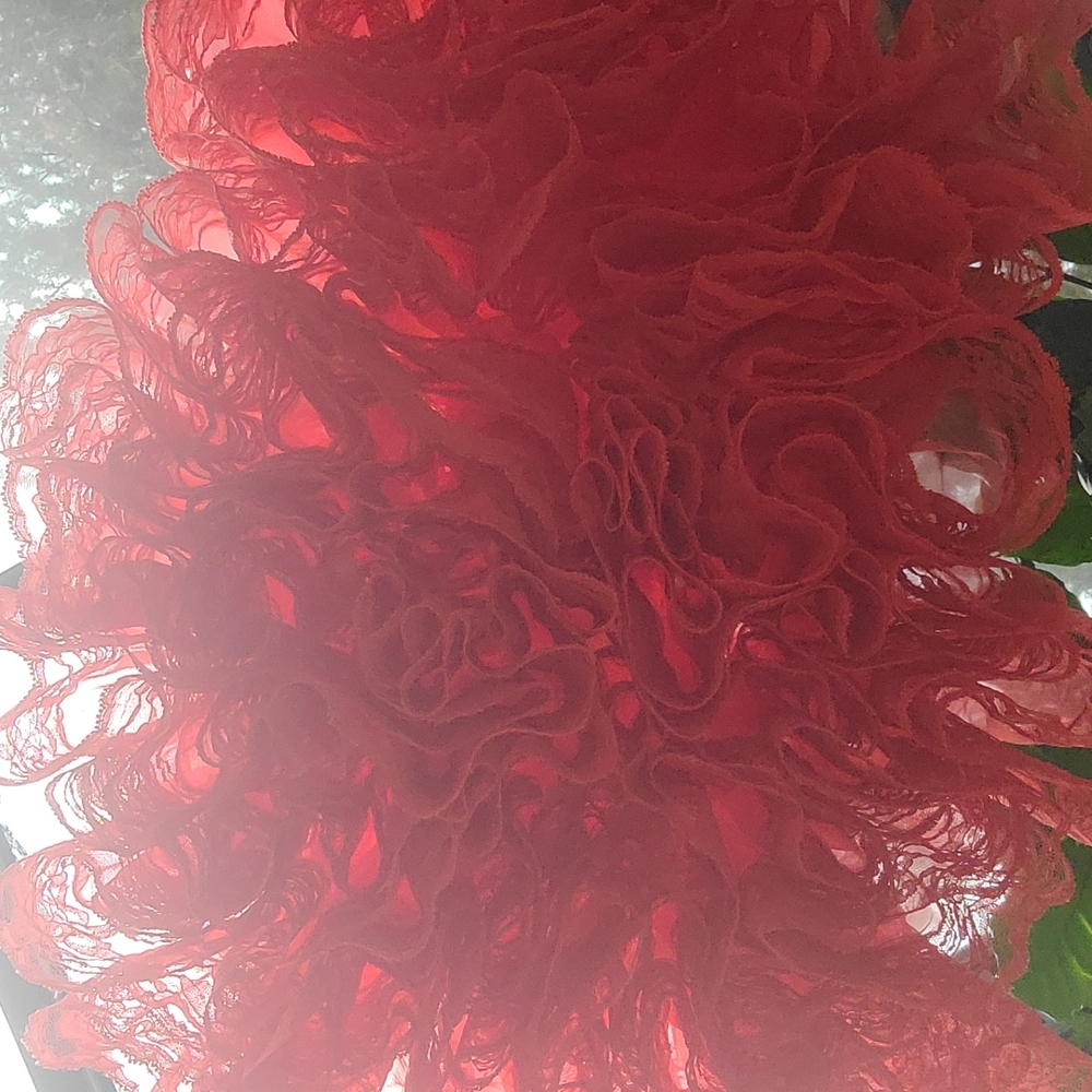 Petticoat Malco Modes Red Size L - image 5